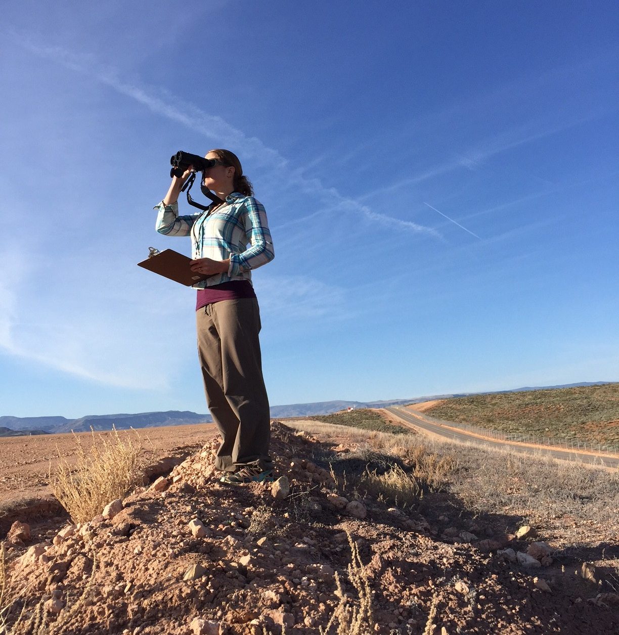 cropped-BirdSurveys1-1.jpg