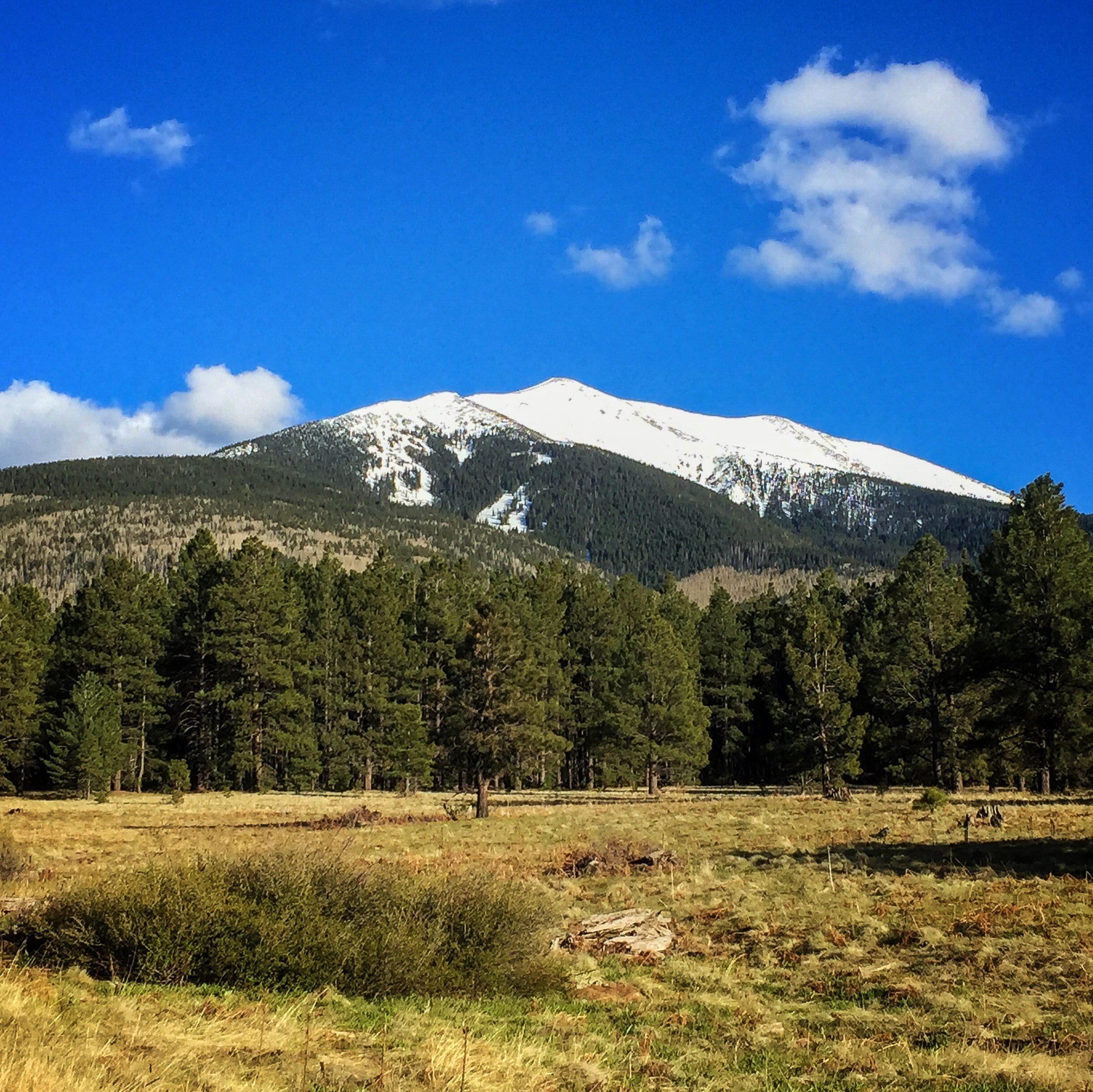 cropped-Humphreys-Peak2.jpeg