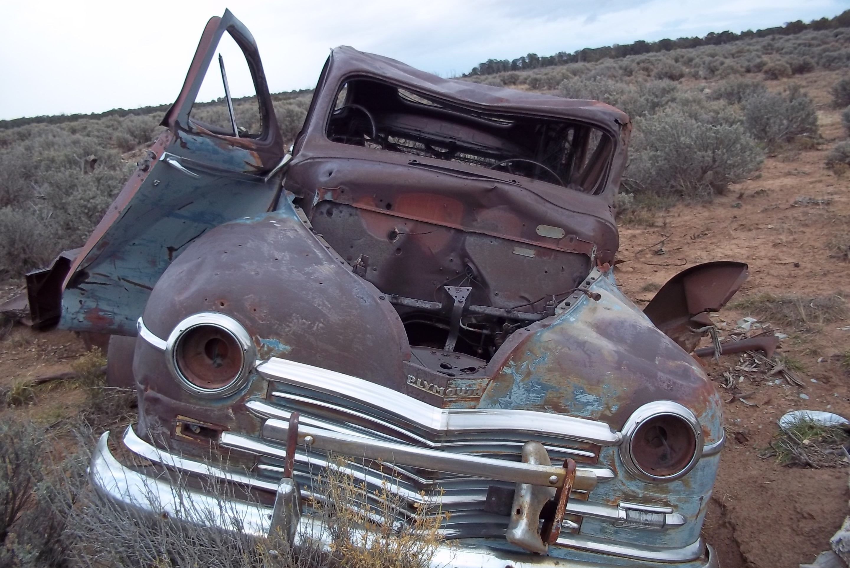 cropped-MWF-AnotherOldCarinProjectArea-2.jpg